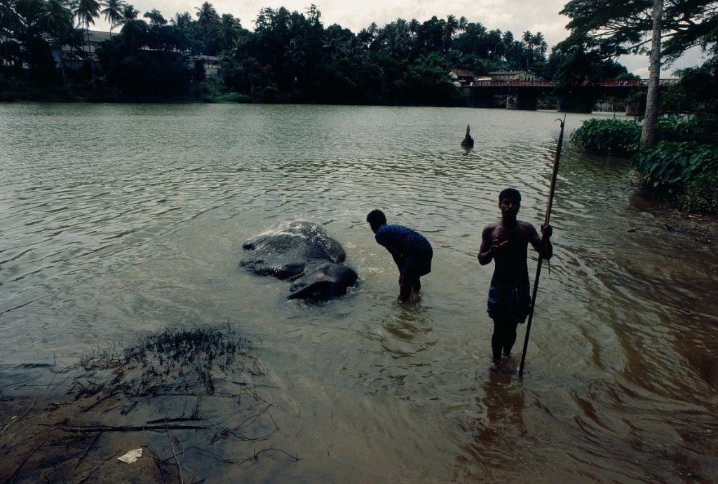 Srilanka 2 1982